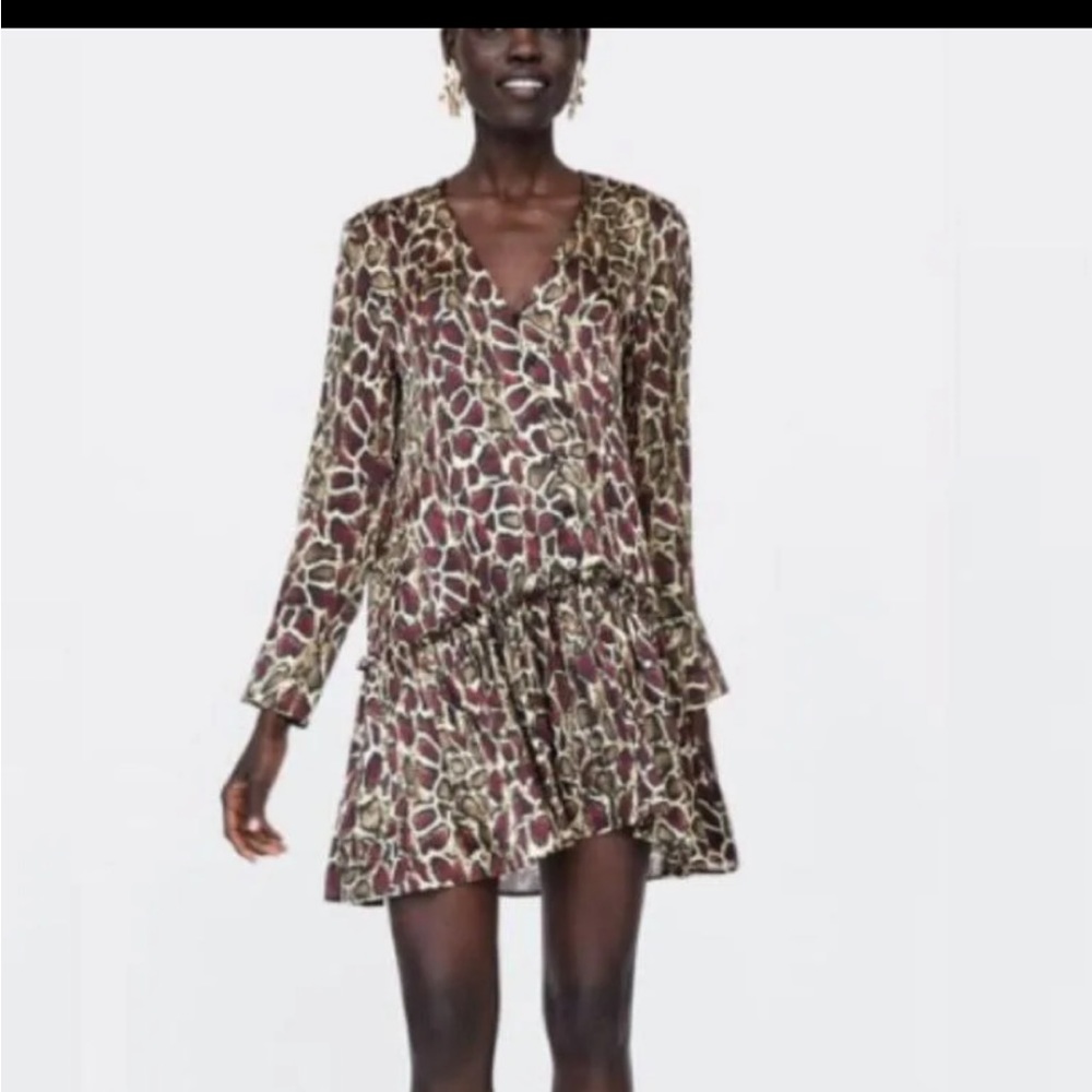Zara Mini Dress